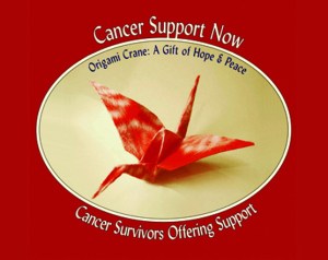 cancer support now logo