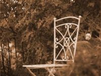 Plaquenil and the&nbsp;eye